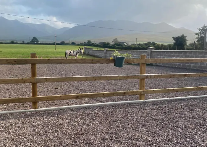 Holiday home Hayfield View Gaddagh Bridge